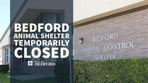 Bedford animal shelter - Log In. Friends of Bedford County Animal Shelter, Inc. ·